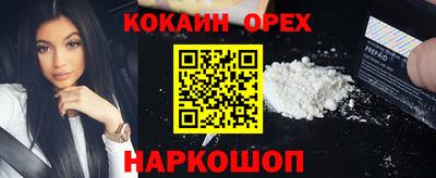 шишки Новозыбков