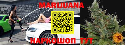 шишки Новозыбков