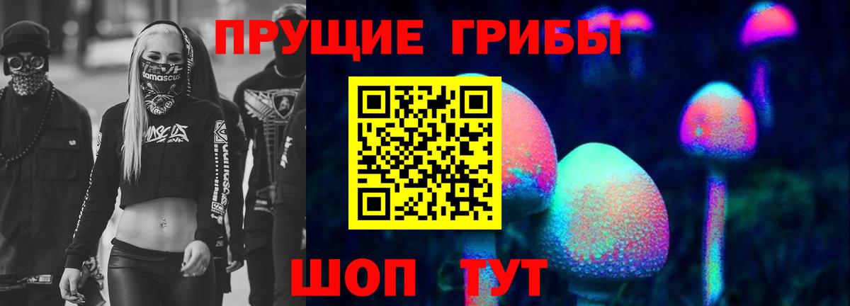Сосновый Бор  Галлюциногенные грибы Cubensis  Галлюциногенные грибы Psilocybine cubensis  Вход с VPN 